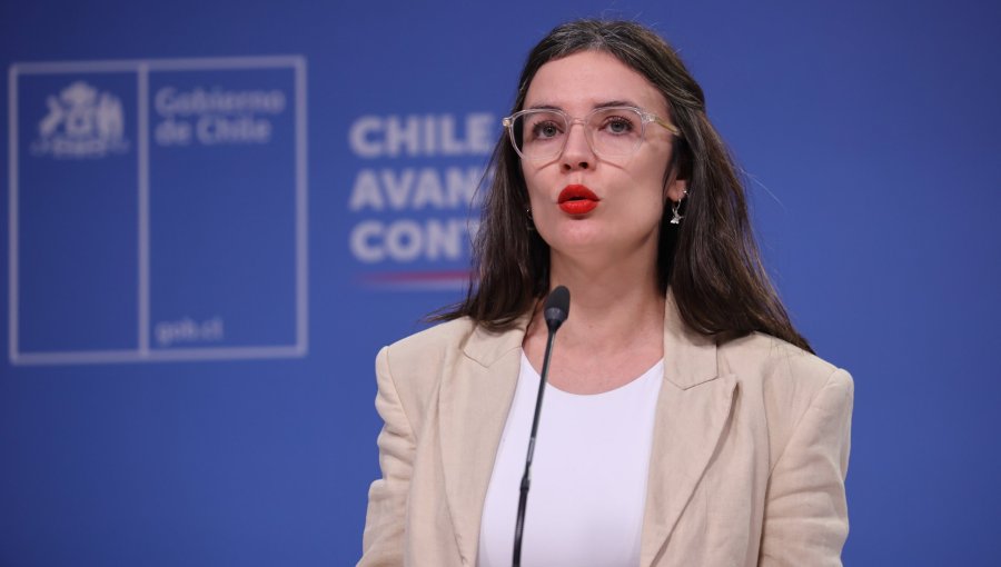 Vocera de Gobierno descarta más falsos detenidos desaparecidos tras caso de Bernarda Vera