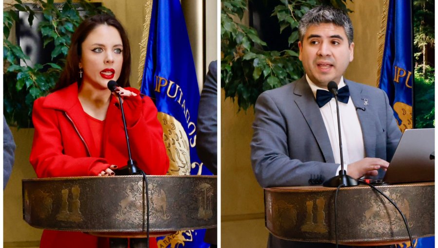 Diputados Musante y Lagomarsino llaman a sacar adelante proyectos de salud mental frente a intentos de suicidio en septiembre