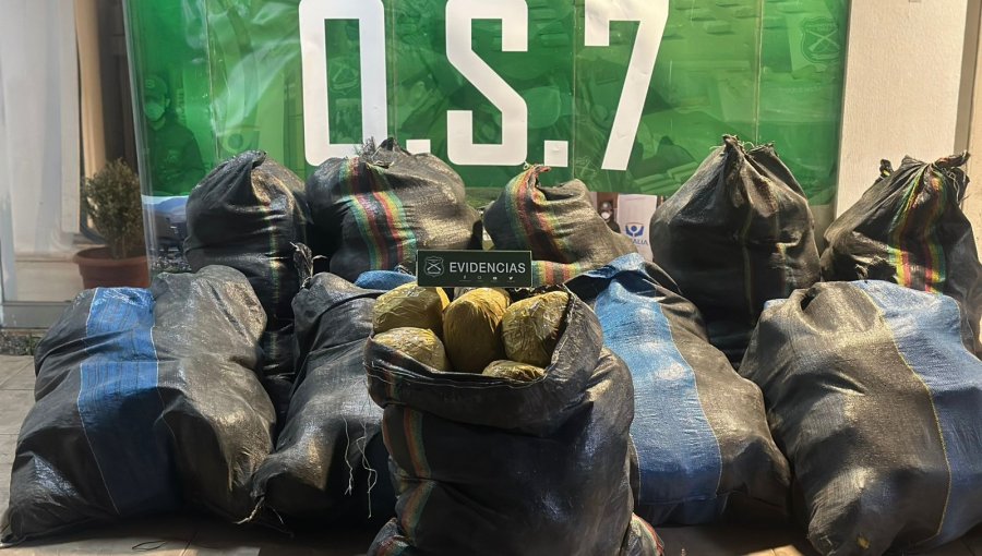 Detienen a venezolano que transportaba 316 kilos de marihuana en carretera de La Ligua