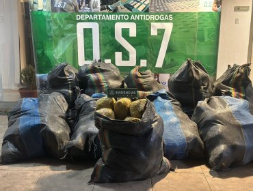 Detienen a venezolano que transportaba 316 kilos de marihuana en carretera de La Ligua