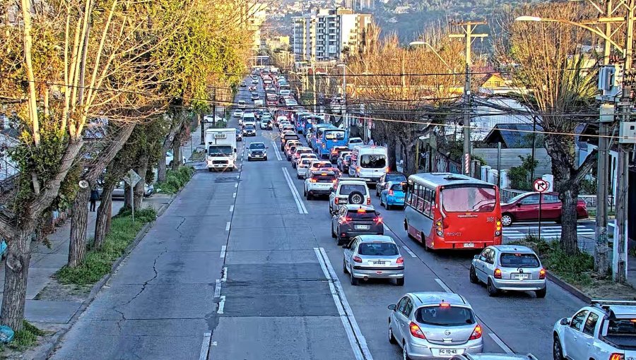 Fatal atropello en Quilpué: peatón muere tras ser embestido por micro en troncal urbano: alta congestión hacia Viña del Mar