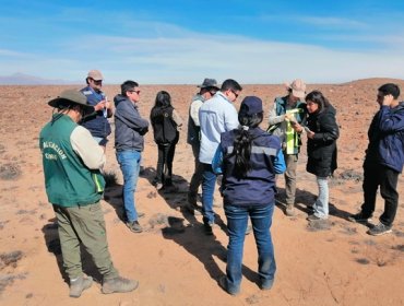 Chile alcanza récord histórico de inversión aprobada en evaluación ambiental: US$8.687 millones en septiembre