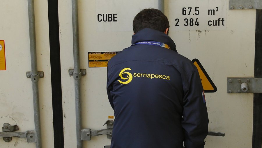 Sernapesca bajo la lupa de Contraloría: funcionarios de la V Región cedieron especies protegidas firmando a nombre de la Dirección