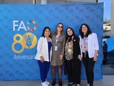 Frente Parlamentario contra el Hambre en Chile define hoja de ruta con respaldo agencia FAO de Naciones Unidas