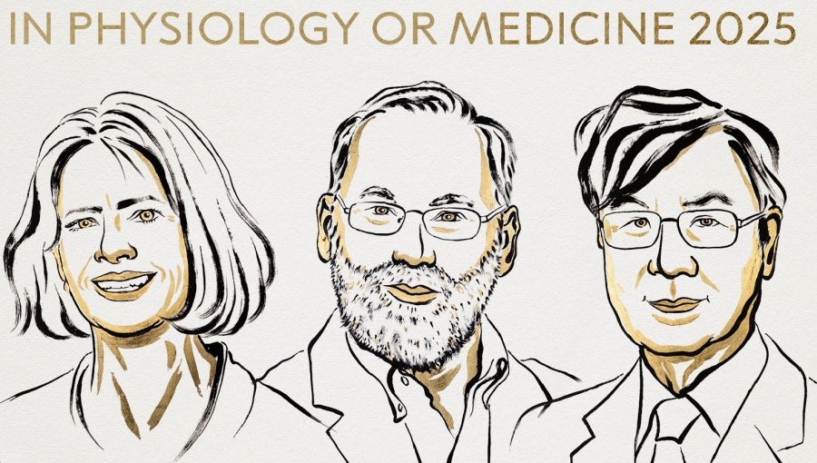Nobel de Medicina 2025 premia a tres investigadores tras hallazgos claves sobre el control del sistema inmune