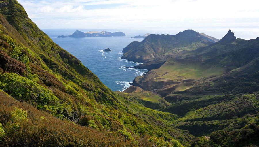 Tribunal Ambiental ordena a Conaf emitir nueva resolución tras rechazo de excavaciones en Parque Juan Fernández