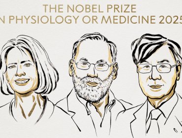 Nobel de Medicina 2025 premia a tres investigadores tras hallazgos claves sobre el control del sistema inmune