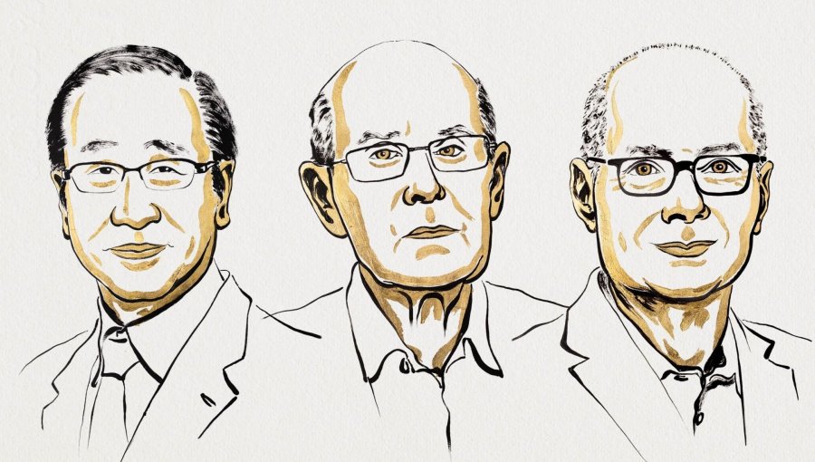 Nobel de Química 2025 premia a los creadores de las estructuras metalorgánicas
