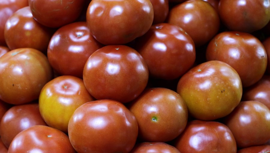 Tomates y el pan llevaron el IPC de septiembre al 0,4%: acumula 4,4% en 12 meses