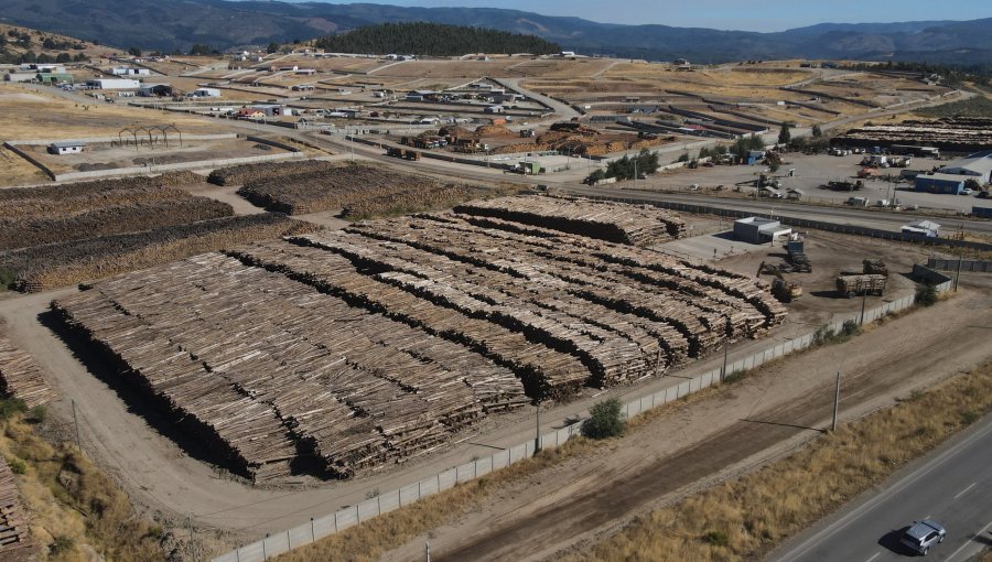 EE.UU. dio inicio a los aranceles mínimos del 10% a la madera y del 25% a muebles