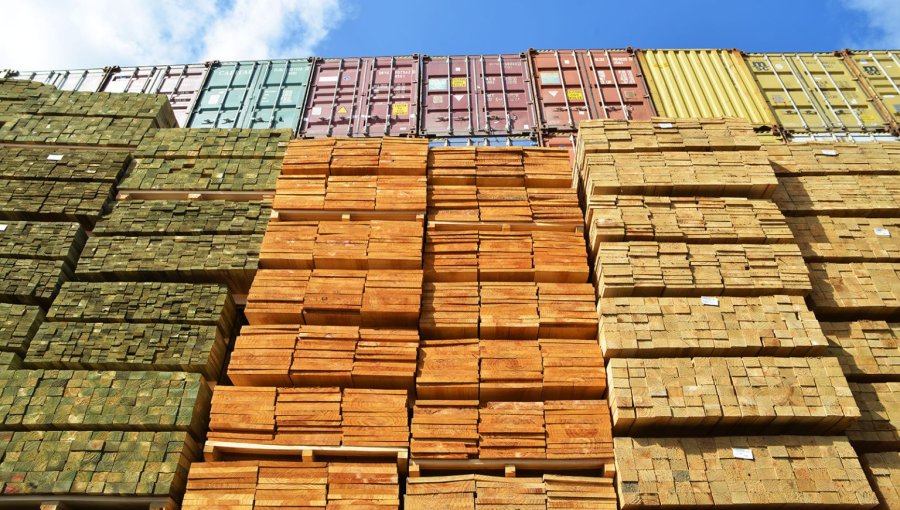 Industria nacional de la madera alerta posibles cierres de empresas por impuesto de EE.UU.