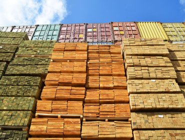 Industria nacional de la madera alerta posibles cierres de empresas por impuesto de EE.UU.