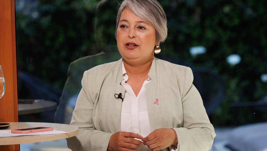 Jeannette Jara afirma que en su eventual gobierno habría pedido la renuncia del ministro Pardow por alza en las cuentas de la luz