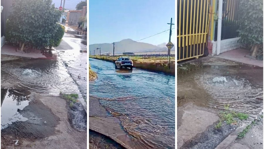 Calvario en La Cruz: 20 familias de la Villa Centenario viven entre inundaciones y un temor latente por desborde de canales