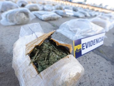 Desbaratan banda que intercambiaba vehículos robados por droga proveniente de Bolivia: fueron incautados 800 kilos de marihuana