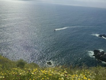 Sin resultados positivos continúa la búsqueda de mariscador desaparecido en sector Los Ventisqueros de Playa Ancha en Valparaíso