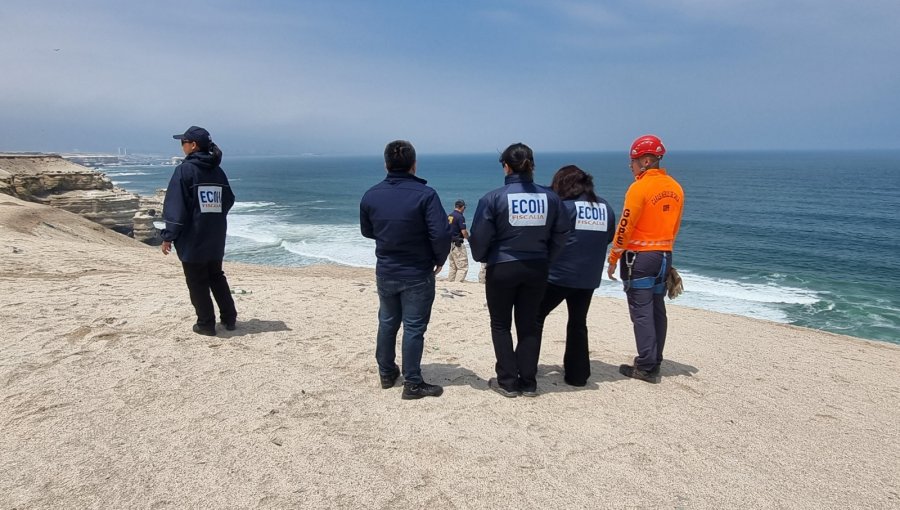 Tras las rejas quedó uno de los presuntos autores de cruento homicidio en Antofagasta: se trata de un primo de la víctima