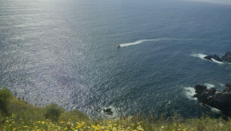 Sin resultados positivos continúa la búsqueda de mariscador desaparecido en sector Los Ventisqueros de Playa Ancha en Valparaíso