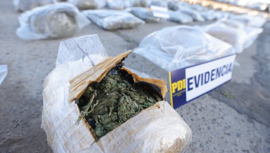 Desbaratan banda que intercambiaba vehículos robados por droga proveniente de Bolivia: fueron incautados 800 kilos de marihuana