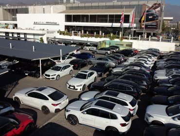 Vehículos asegurados al primer semestre de 2025 llegaron a 2.194.573 unidades
