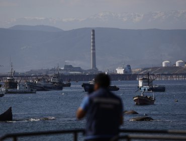 Municipalidad de Quintero exige medidas urgentes ante nuevos episodios de contaminación ambiental