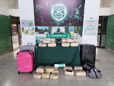 Operativo en Nogales deja tres detenidos y más de 52 kilos de marihuana decomisados