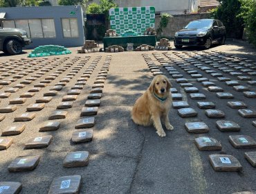 Seis detenidos y más de una tonelada de droga incautada deja operativo en tres comunas de la región Metropolitana