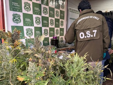Desarticulan organización criminal en Valdivia: Ocho detenidos e incautación de armas y drogas