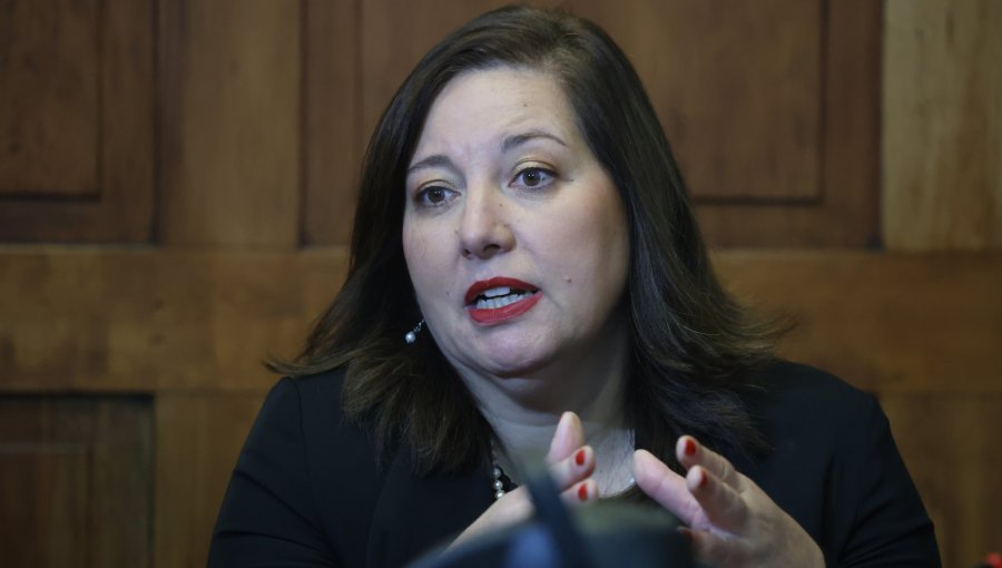 Presidenta del PS advierte "utilización política" en la acusación constitucional contra el exministro Pardow