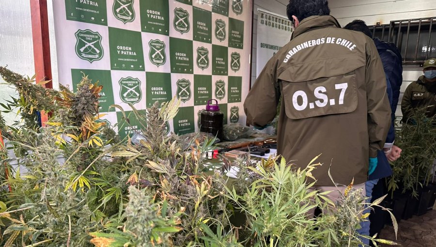 Desarticulan organización criminal en Valdivia: Ocho detenidos e incautación de armas y drogas