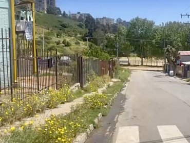 Vecinos denuncian filtración interminable de agua en Viña: Esval dice que reparación "es responsabilidad de propietarios"