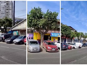 Vecinos y comerciantes de Concón denuncian colapso vial por masiva ocupación de estacionamientos en el borde costero