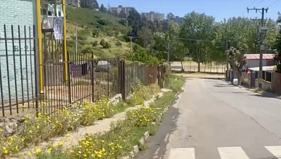 Vecinos denuncian filtración interminable de agua en Viña: Esval dice que reparación "es responsabilidad de propietarios"