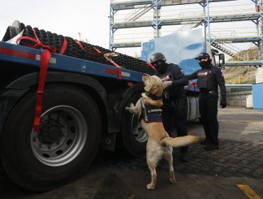 Alerta roja en Valparaíso y San Antonio: Informe de Crimen Organizado advierte que puertos son "puntos críticos" de narcotráfico