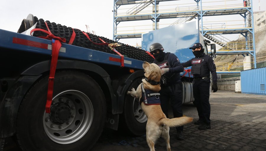 Alerta roja en Valparaíso y San Antonio: Informe de Crimen Organizado advierte que puertos son "puntos críticos" de narcotráfico
