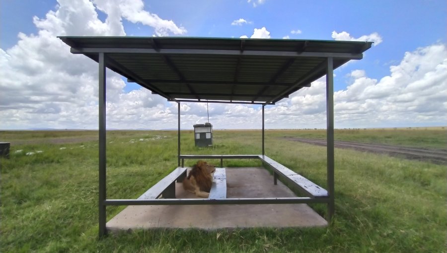 Avioneta turística se estrella en Kenia y deja once muertos en Masái Mara