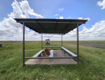 Avioneta turística se estrella en Kenia y deja once muertos en Masái Mara