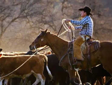 La furia de los ganaderos en EE.UU. porque el gobierno de Trump quiere importar más carne argentina: "Es una traición"