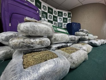 Incautan más de 42 kilos de marihuana en operativo policial en Nogales: dos detenidos