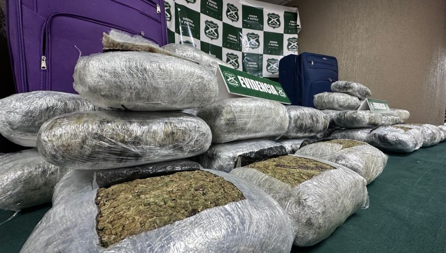 Incautan más de 42 kilos de marihuana en operativo policial en Nogales: dos detenidos