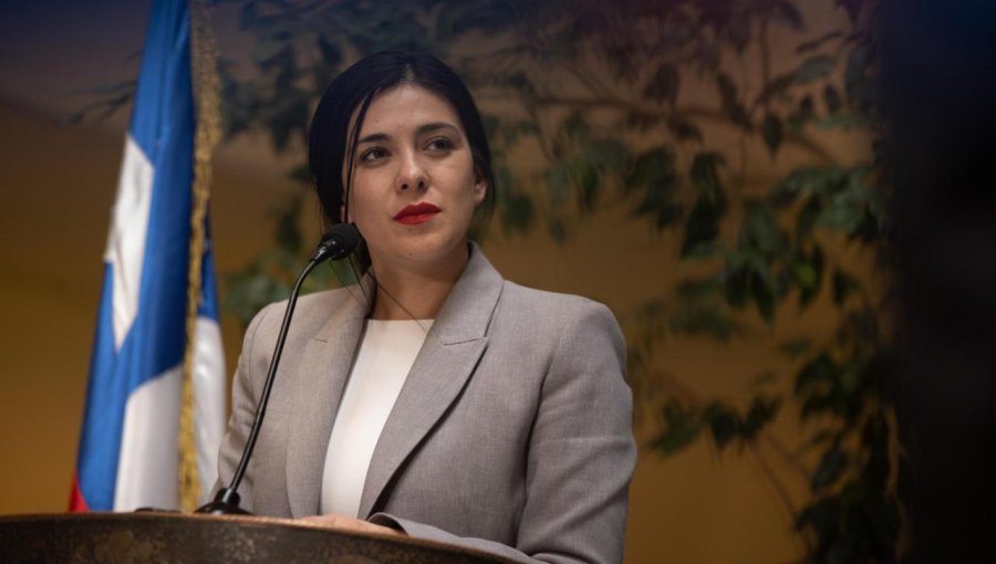 «Cuentas Claras»: Cariola llama al Gobierno a patrocinar proyecto para devolución inmediata de cobros indebidos de luz