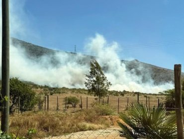 Incendio forestal afecta al sector Lliu Lliu de Limache: Bomberos trabajan para evitar la propagación