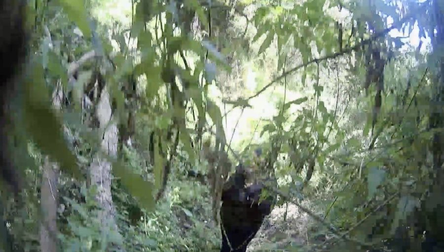 Rescatan sana y salva a joven que se extravió mientras practicaba senderismo en Limache