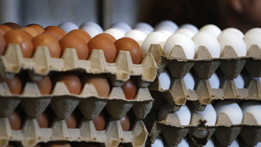 Producción de huevos de consumo presentó un aumento interanual de 6,1% en septiembre de este año