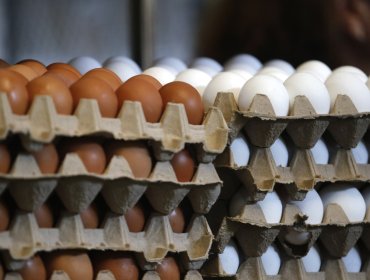 Producción de huevos de consumo presentó un aumento interanual de 6,1% en septiembre de este año