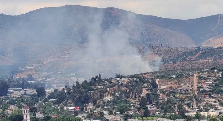 Incendio forestal afecta a sector de la cuesta El Pangal en Limache: aproximadamente 2 hectáreas han sido consumidas