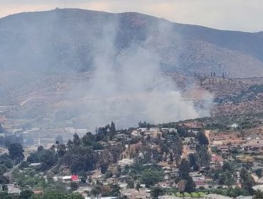 Incendio forestal afecta a sector de la cuesta El Pangal en Limache: aproximadamente 2 hectáreas han sido consumidas