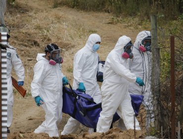 Fiscal confirma que segundo cadáver hallado en San Vicente de Tagua Tagua estaba descuartizado