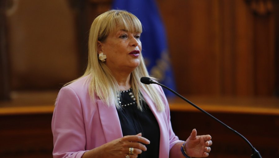 Corte de Apelaciones de Santiago acoge a trámite la querella de capítulos contra Ángela Vivanco por el caso “Muñeca Bielorrusa”