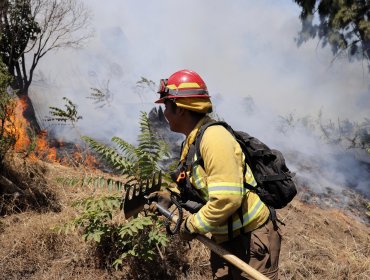 Con capacitaciones comunitarias, Valparaíso busca prevenir incendios forestales